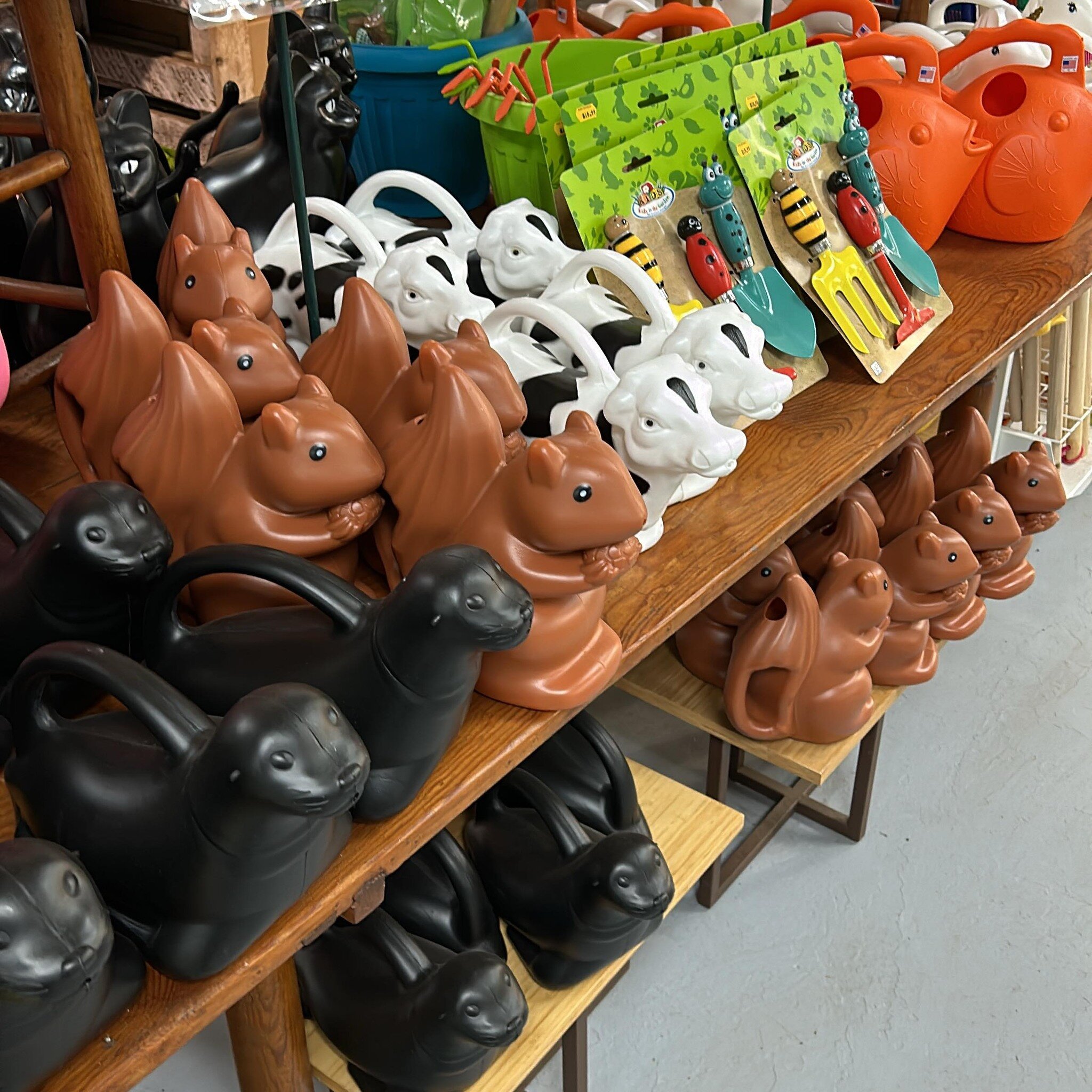 Which watering can is your favorite? #hawksgreenhouse 
#easterideasforkids🐰🐣🌷
 #hawksgreenhouse 
#northpolealaska 
#fairbanksalaska