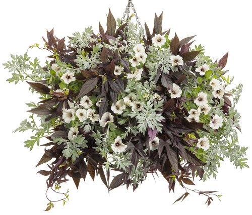 angel oak flower combo basket