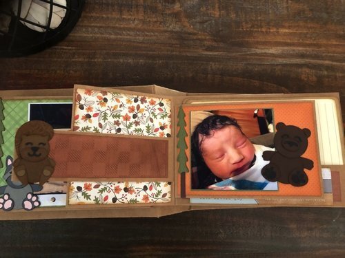 Baby Book Page