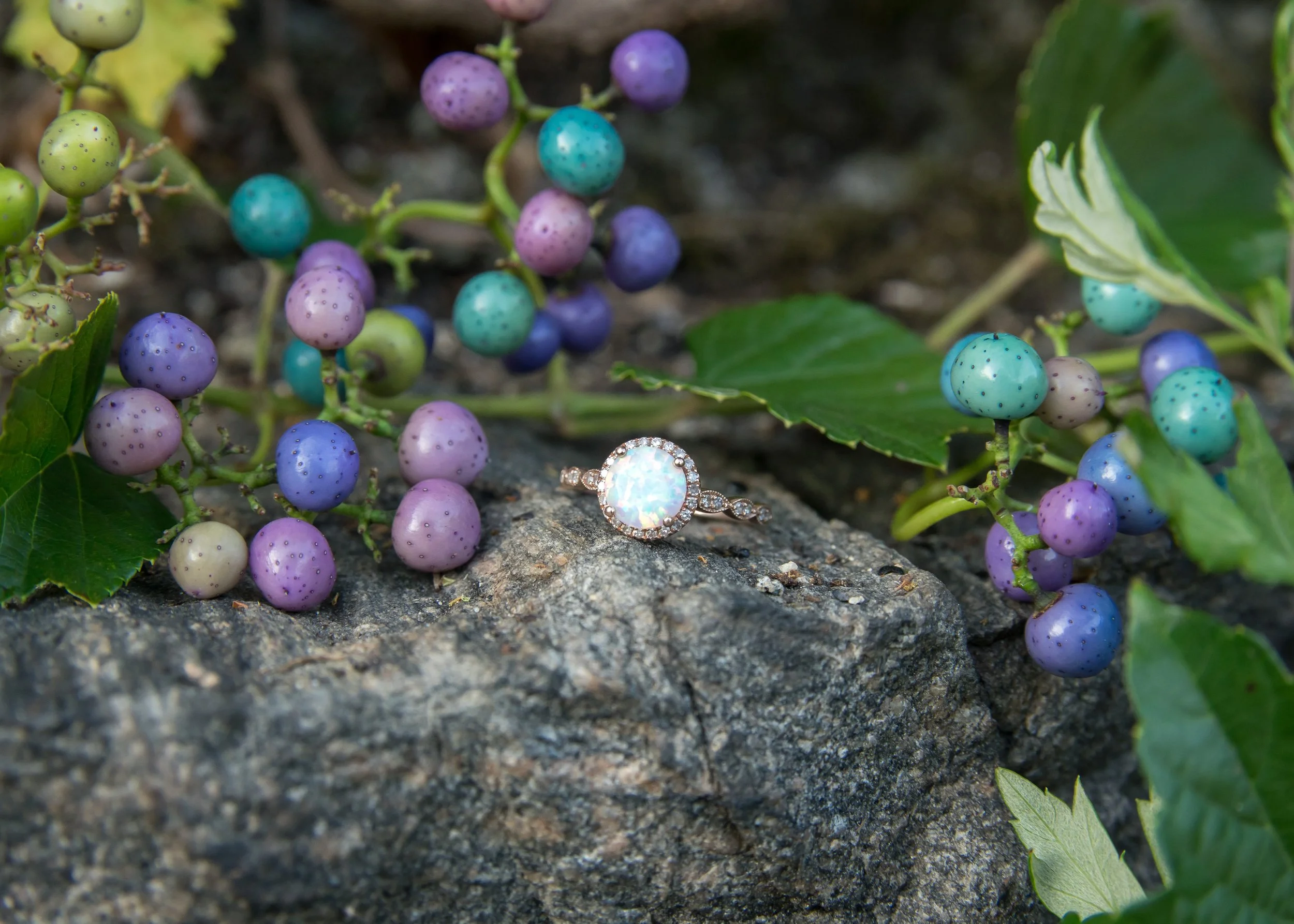 BHZ.Photography.Sep7th2109 (54 of 56).JPG