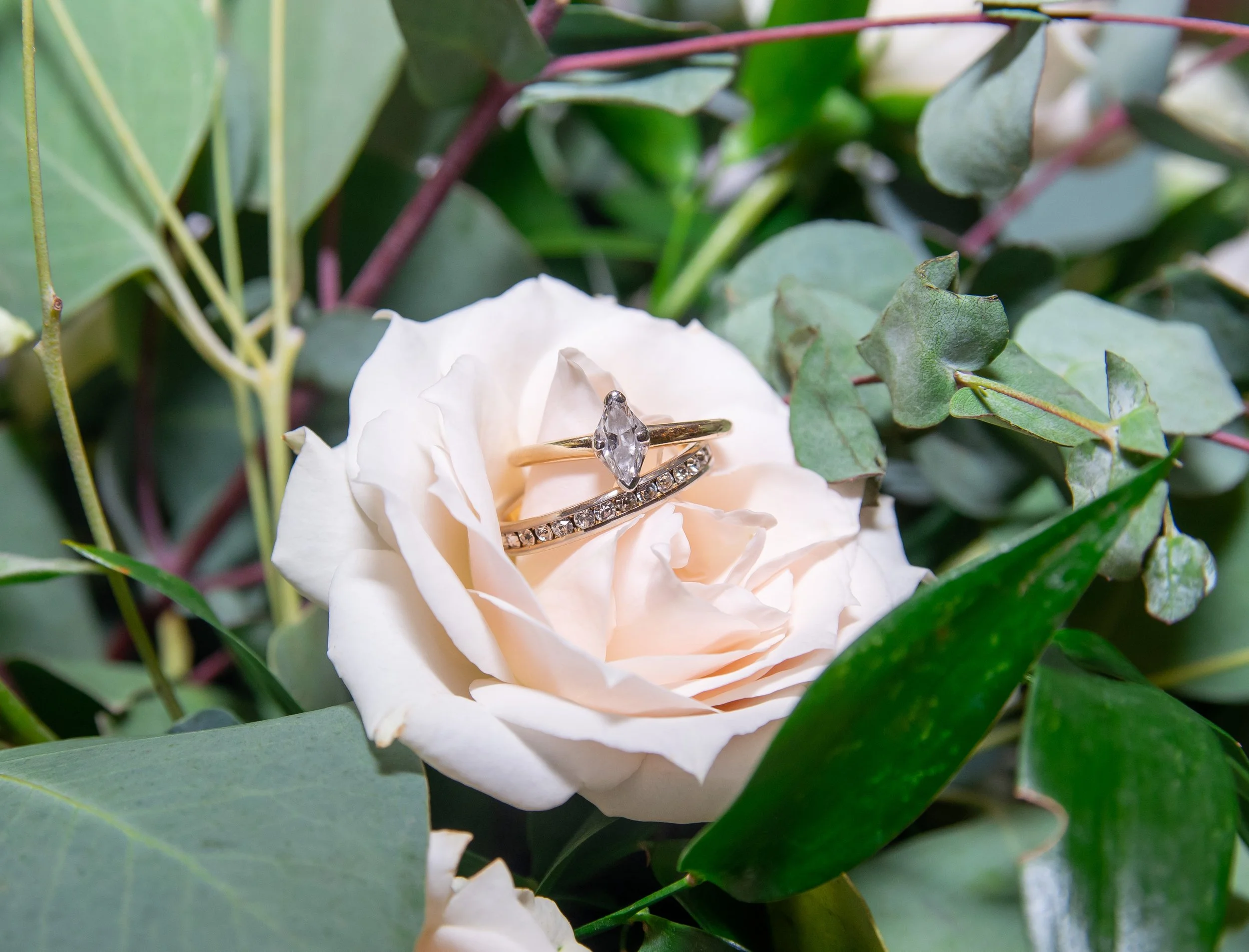 Lis Wedding April 17th 2021 (296 of 350).jpg