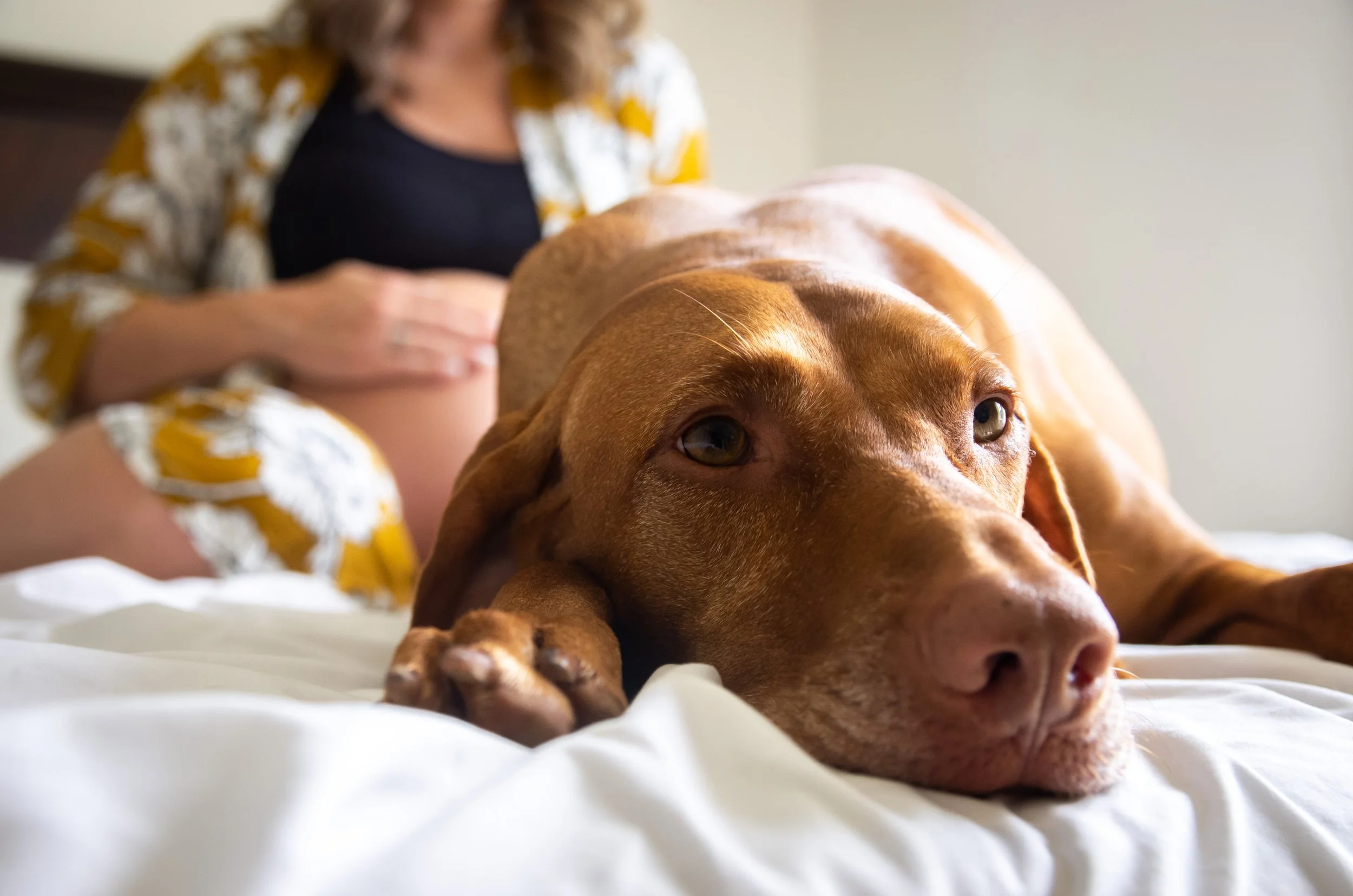 Maternity - Nikki Zuris - 8.7.21 (80 of 39).jpg