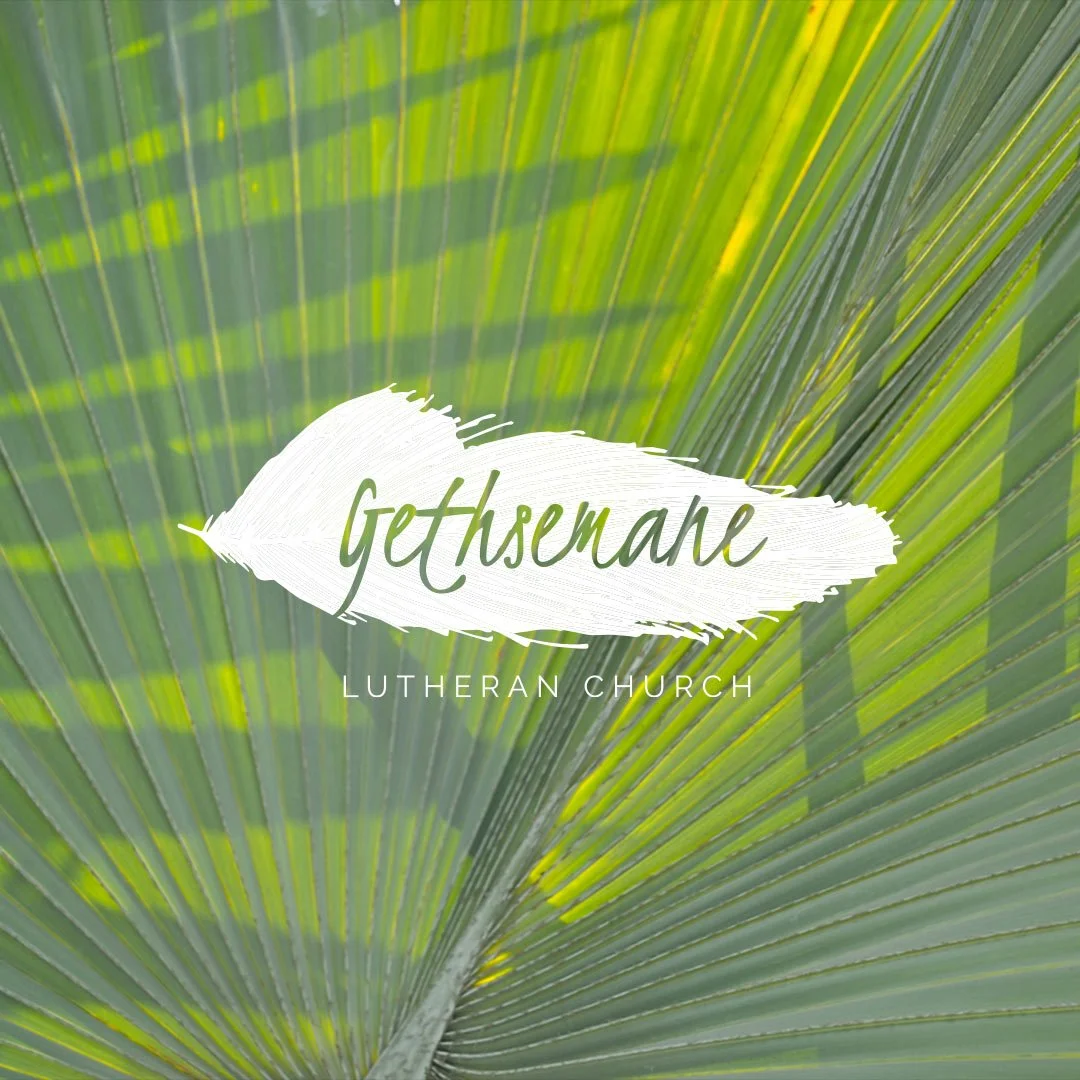 Palm Sunday, 2020