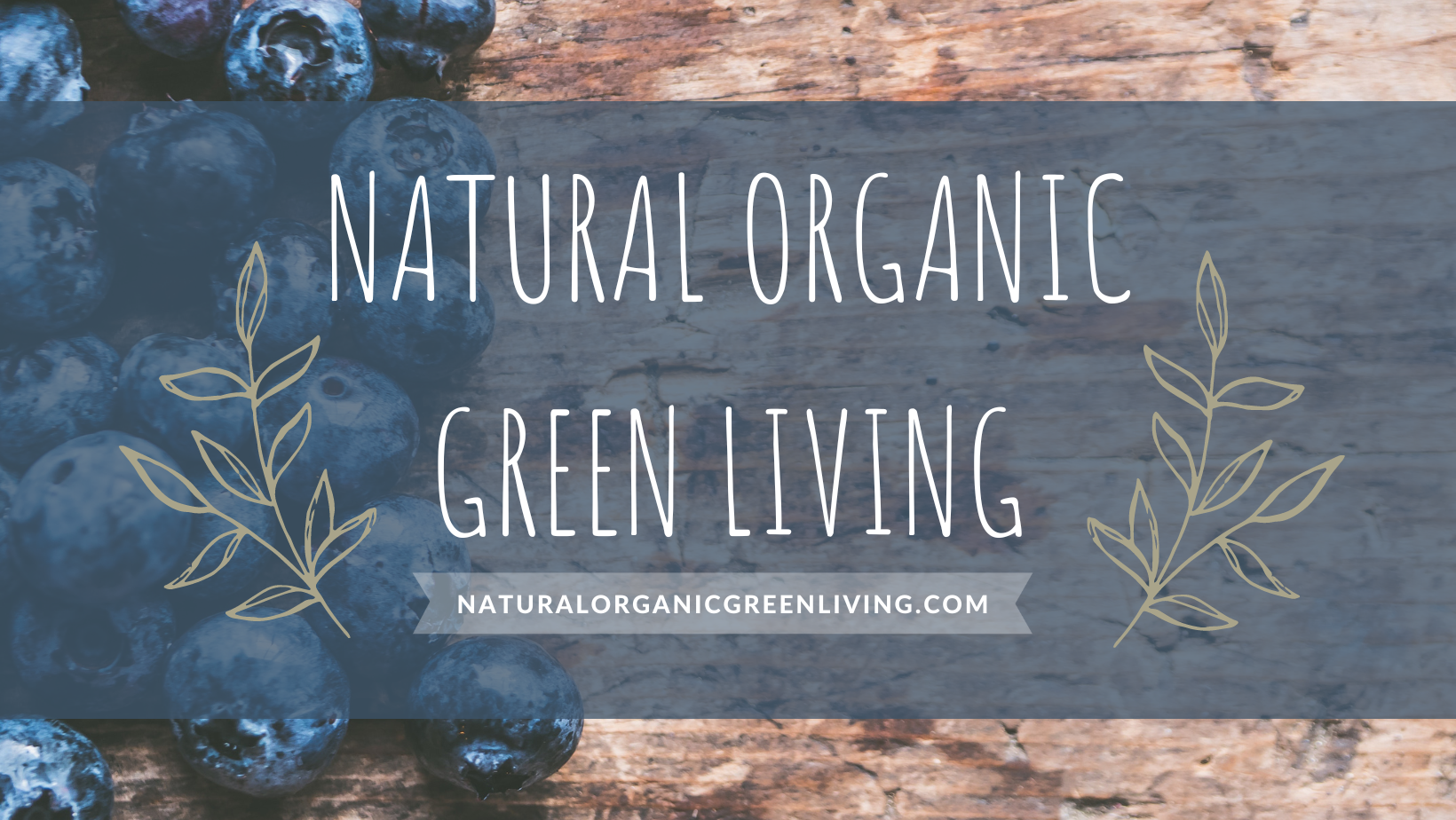 Clean Living Blog | Non-Toxic Tips for Organic Skincare, Healthy Home ...