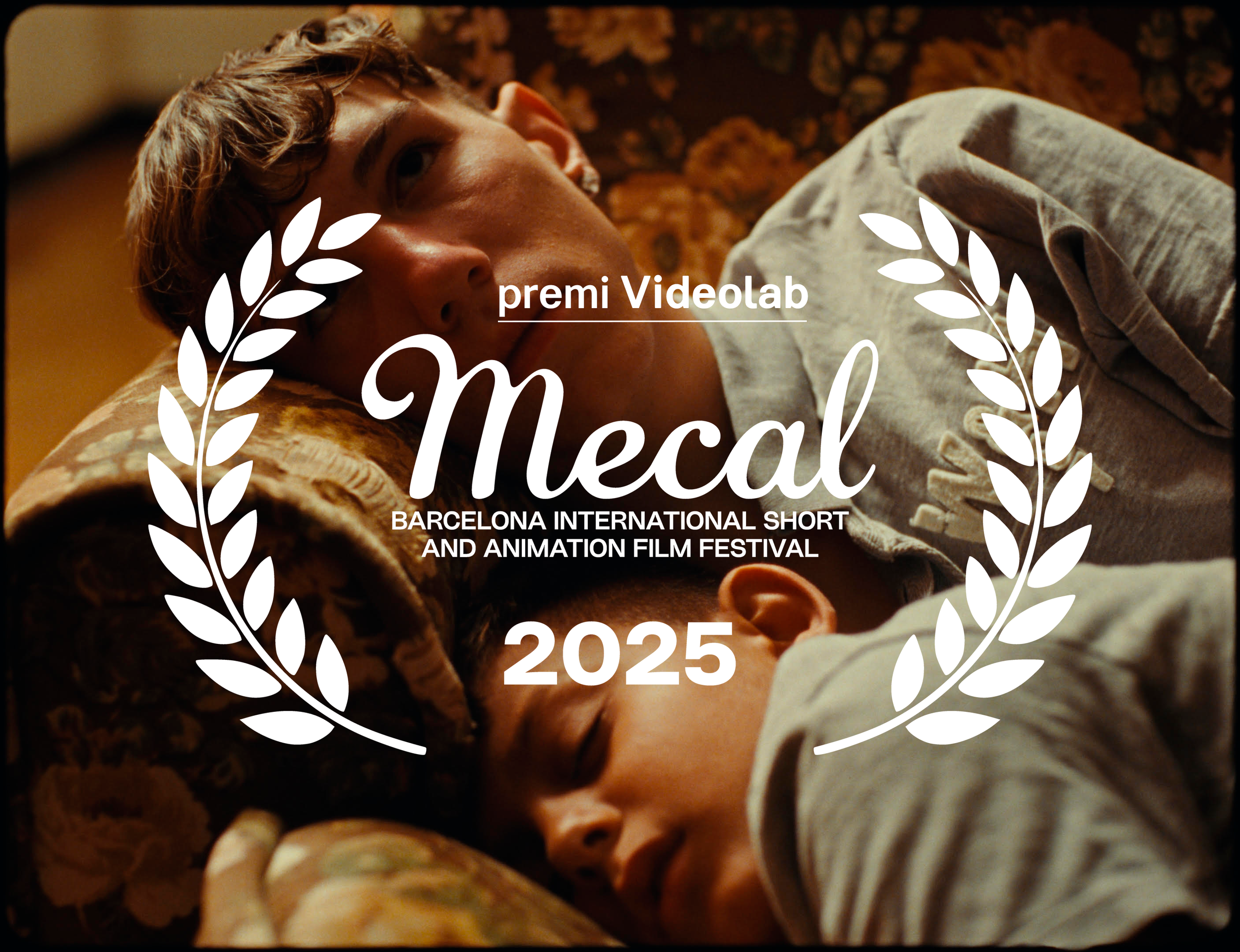 premi videolab.png