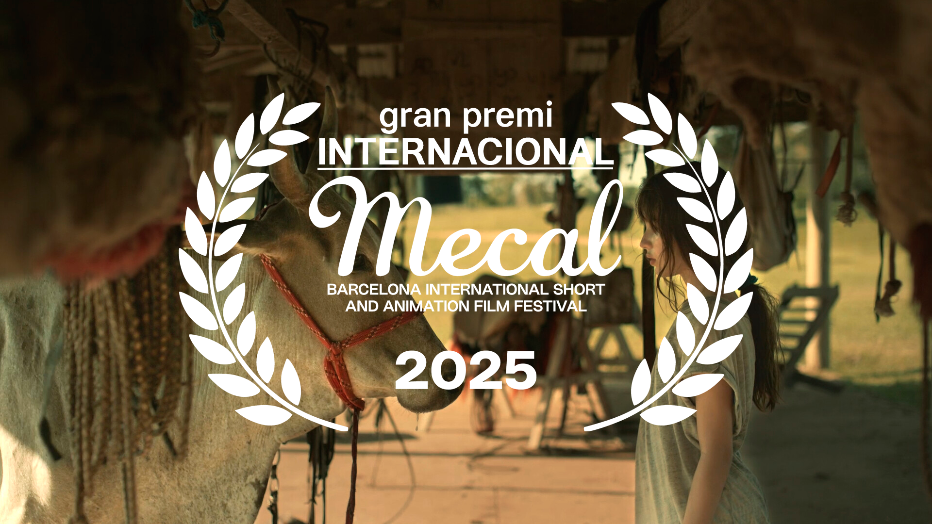 GRAN PREMI INTERNACIONAL.png