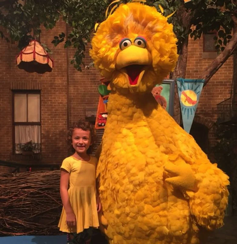 1 - tinnirello_bigbird.jpg