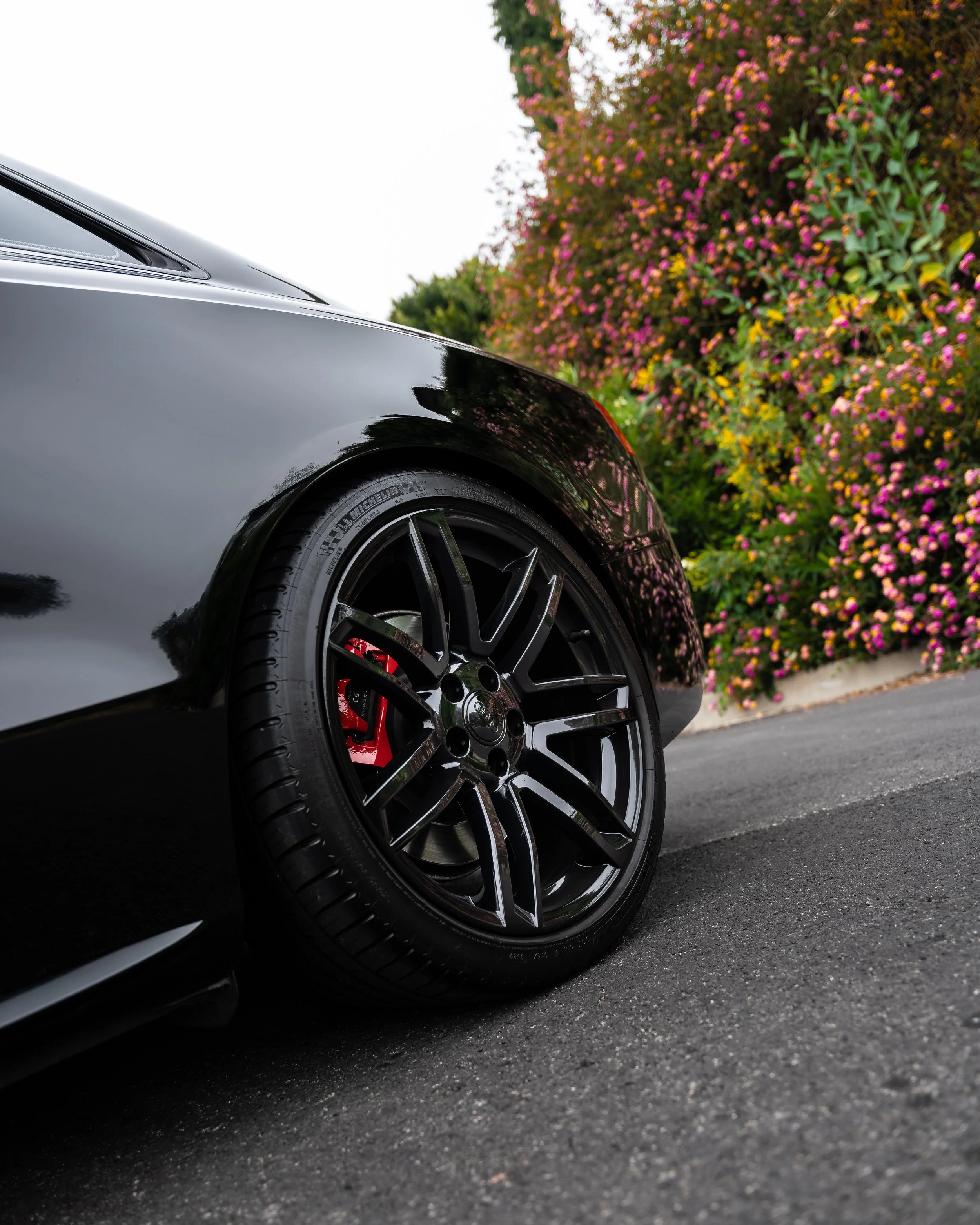 DSC06232-Enhanced-NR-Edit copy.jpg