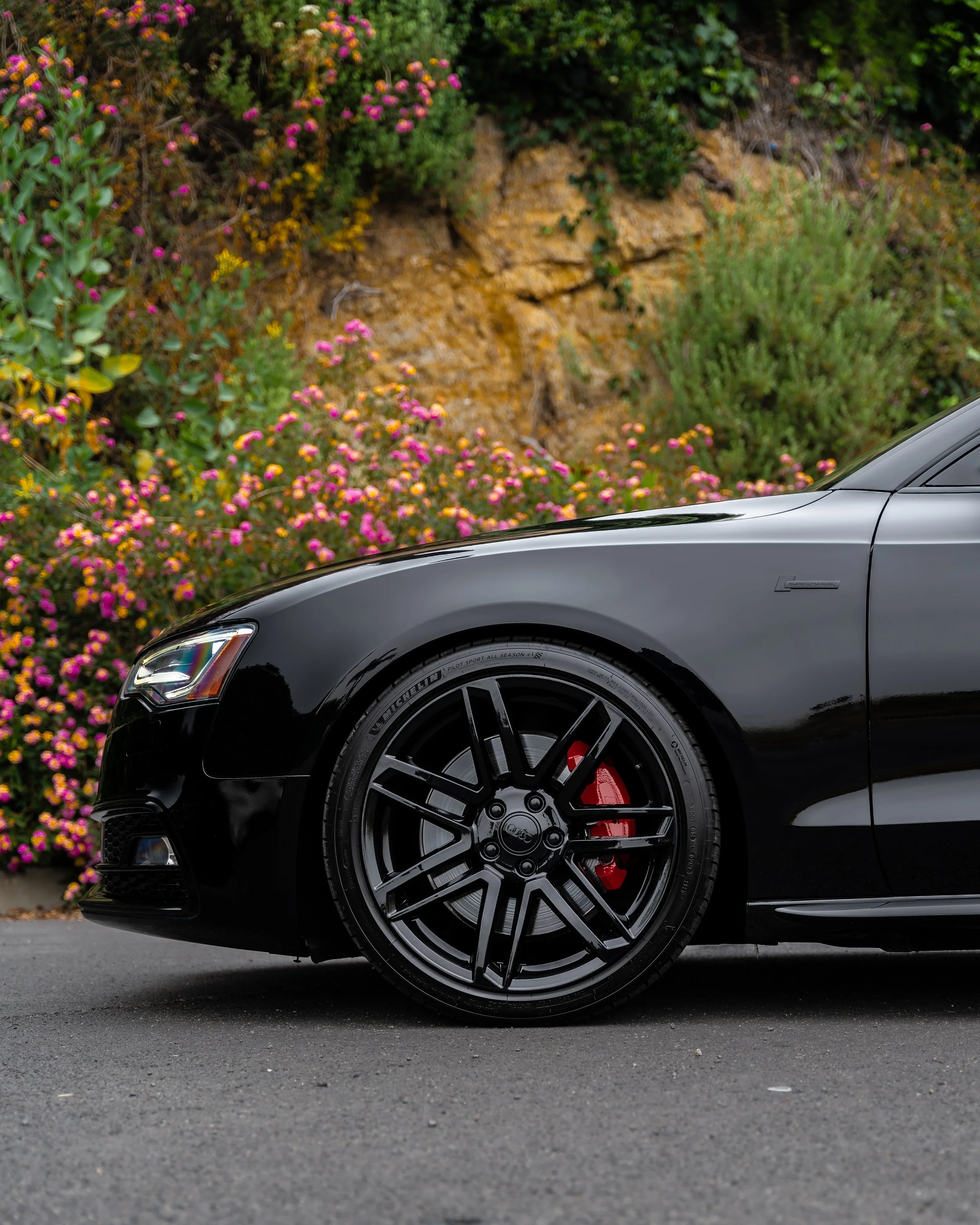 DSC06238-Enhanced-NR-Edit copy.jpg