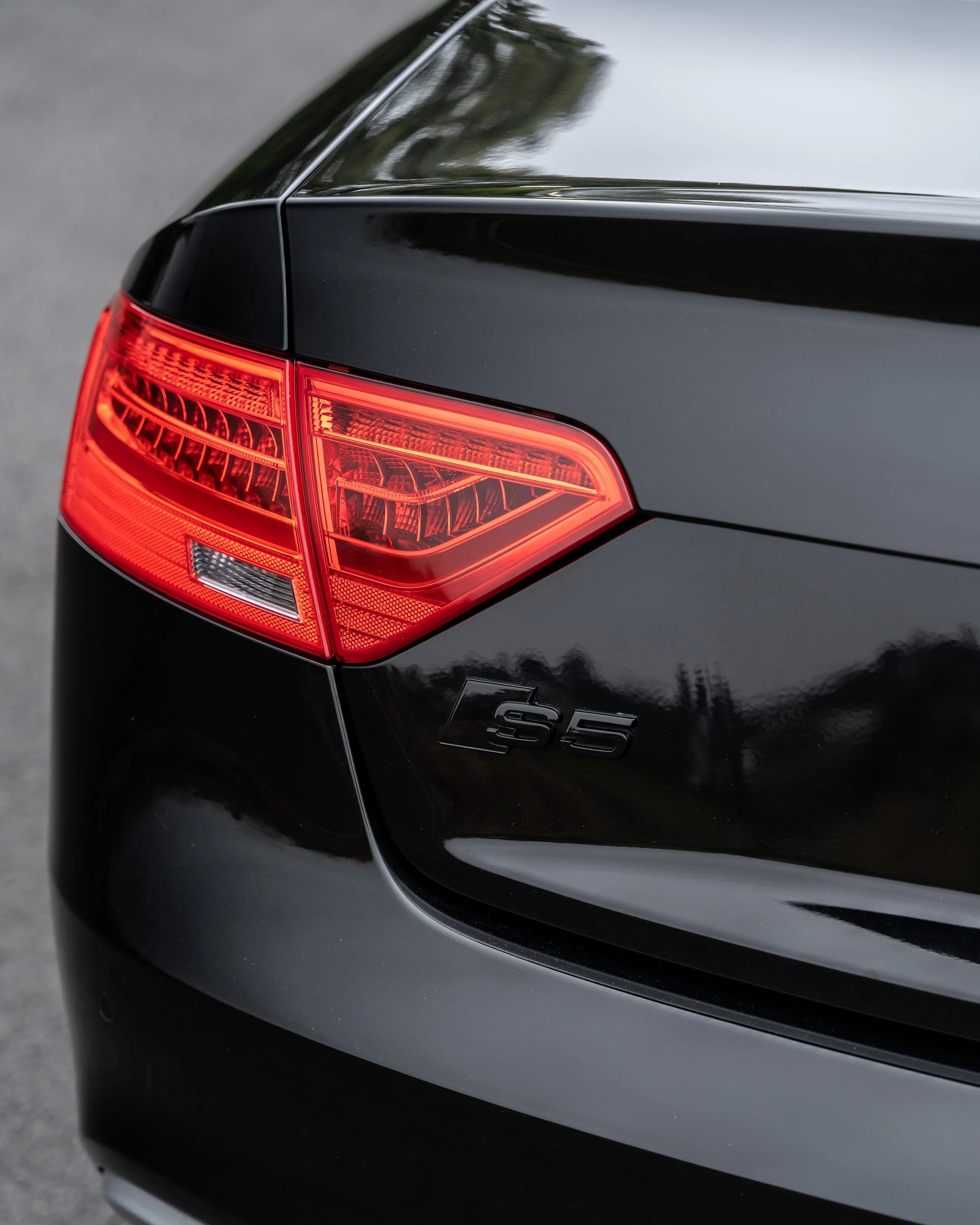 DSC06237-Enhanced-NR-Edit copy.jpg