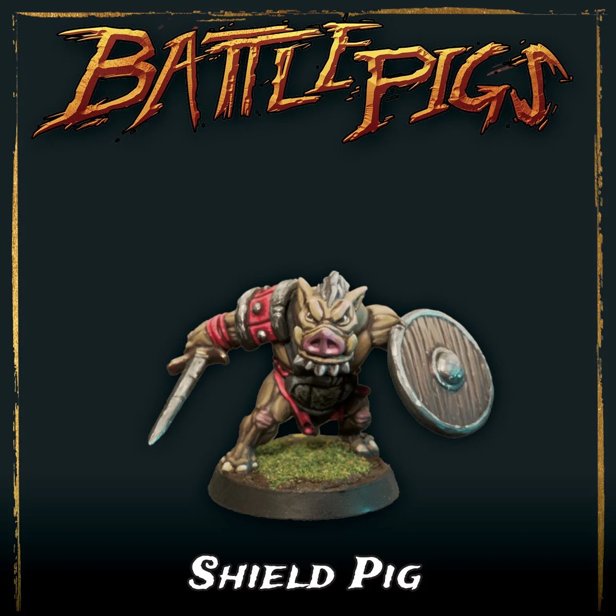 shield pig web.jpg