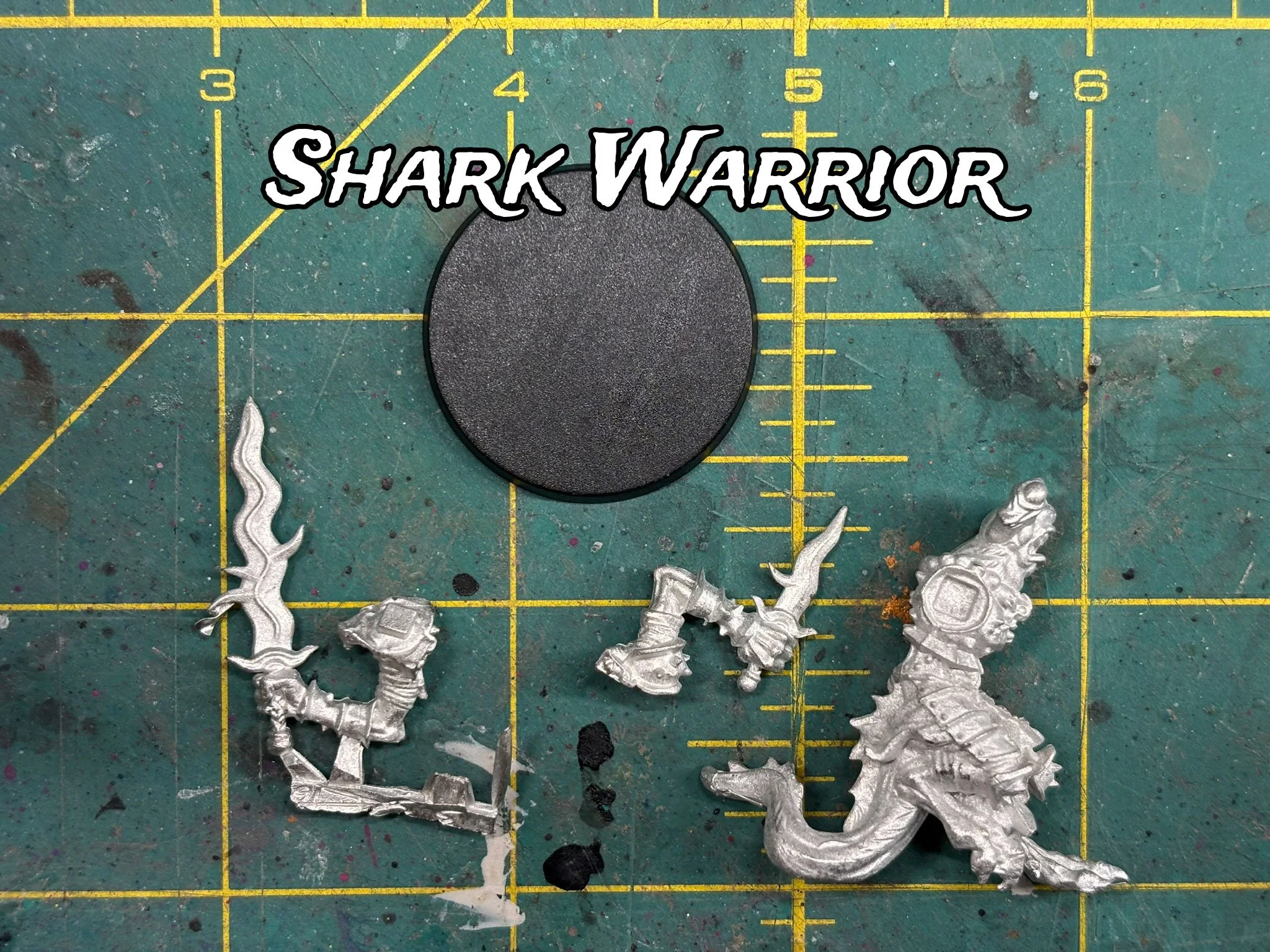 shark-warrior.jpg