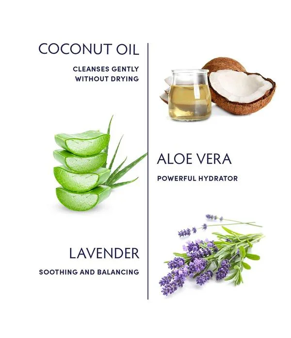 Aloe-Vera-Cleansing-Gel-Infographic_600x_8c5b8429-158d-41be-bff5-7bf3c3e86875_1024x1024@2x.webp