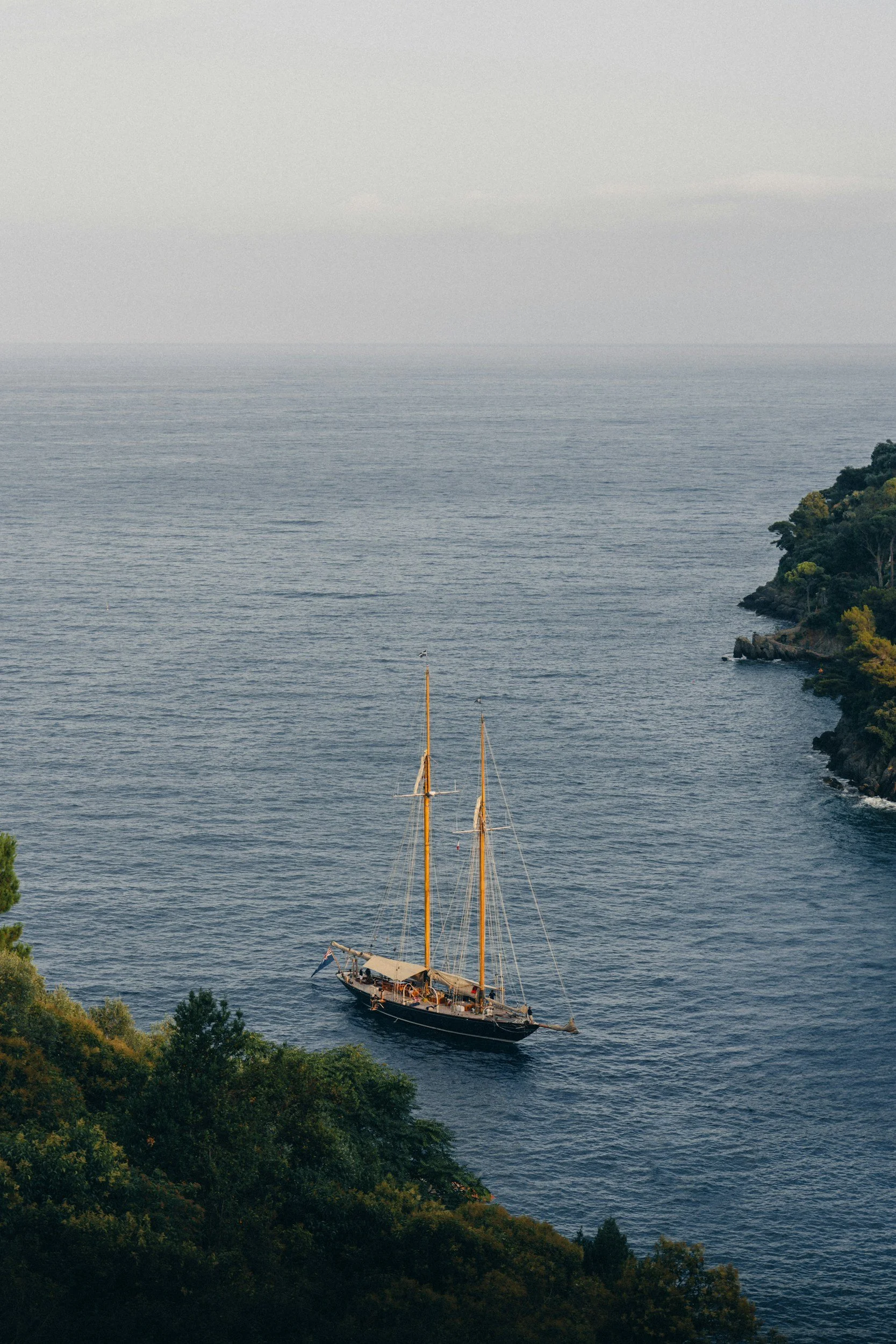 Acquisition & Digital Growth