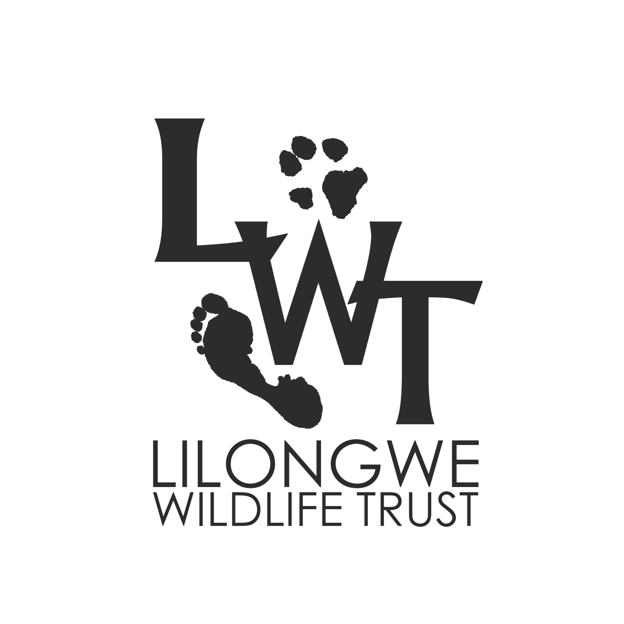 Untitled design (56).png