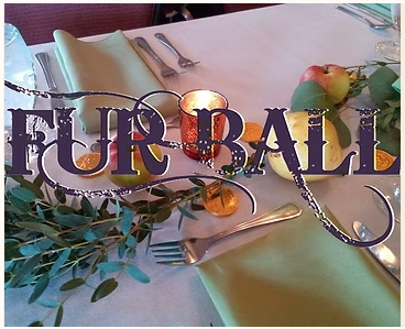 Fur Ball Gala | Animal Allies