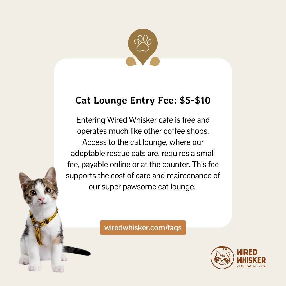 What to Expect: Our space is divided into two main areas; the cafe and the cat lounge. The cafe is free and operates much like other coffee shops you know and love. The cat lounge is where our adoptable rescue kitties reside, and requires a nominal e