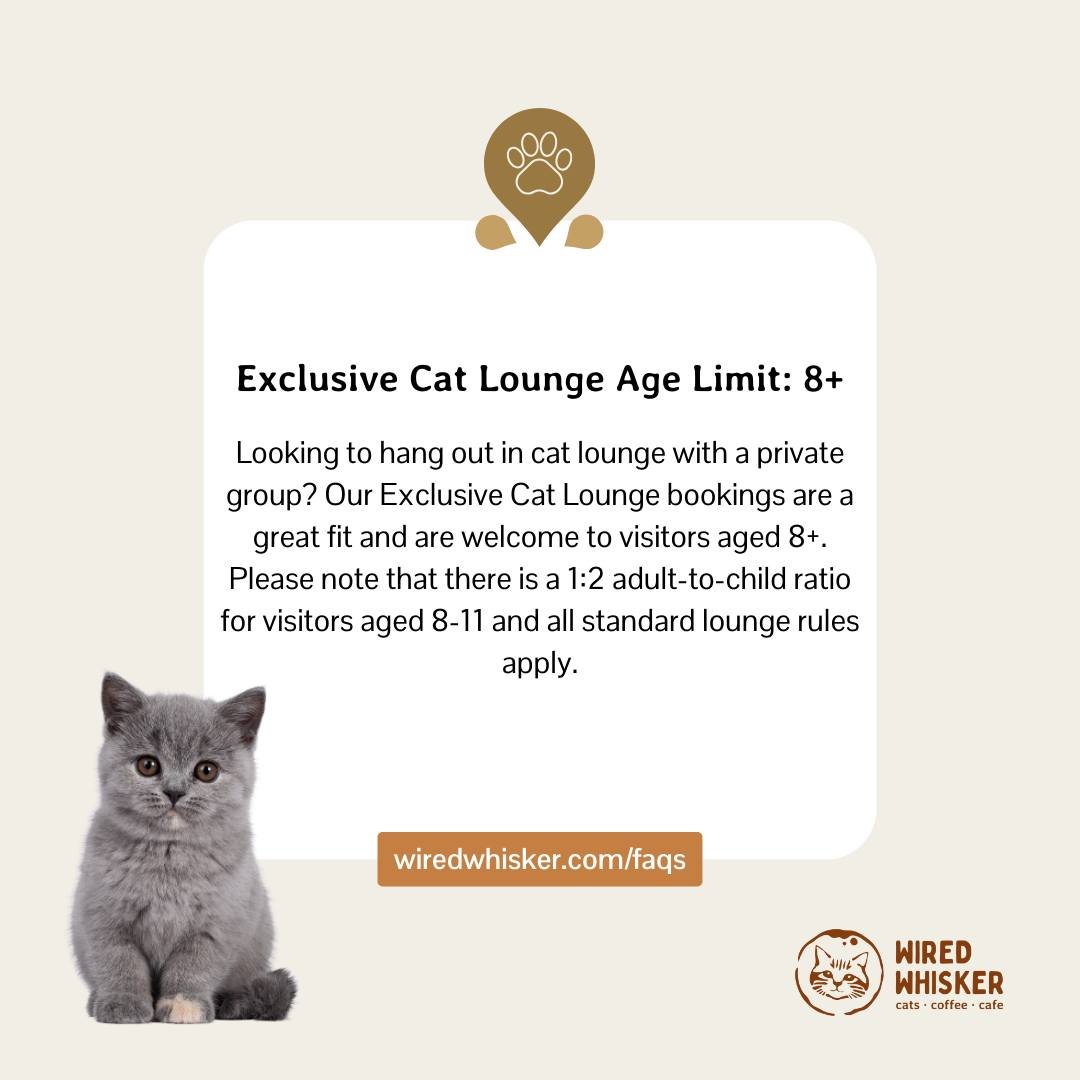 What to Expect: You will be able to enjoy our cat lounge all to yourself by booking an Exclusive Cat Lounge visit. Exclusive Cat Lounge sessions are also 8+, so it's a great opportunity for our 8-11 year old guests to enjoy some relaxing time in the 