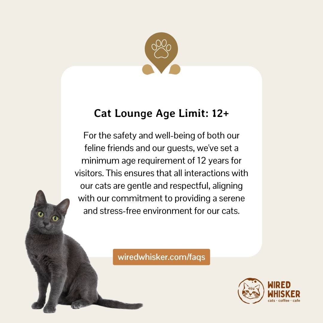 What to Expect: Like most cat cafes, our cat lounge has an age restriction to ensure that all interactions with our cats are gentle and respectful, aligning with our commitment to providing a serene and stress-free environment for our cats and visito