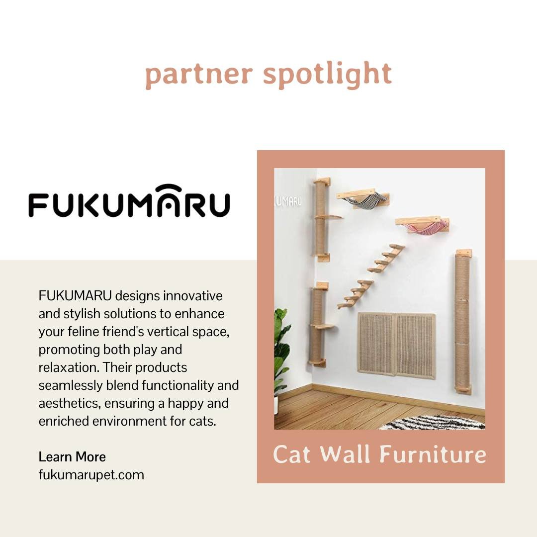 🐈Partner Spotlight: The rescue kitties in our cat lounge have the coolest wall furniture, EVER! When we called our cat lounge the Barbie dreamhouse for cats, we meant it. You can find Fukumaru products on Amazon and create a climbing wall for your o