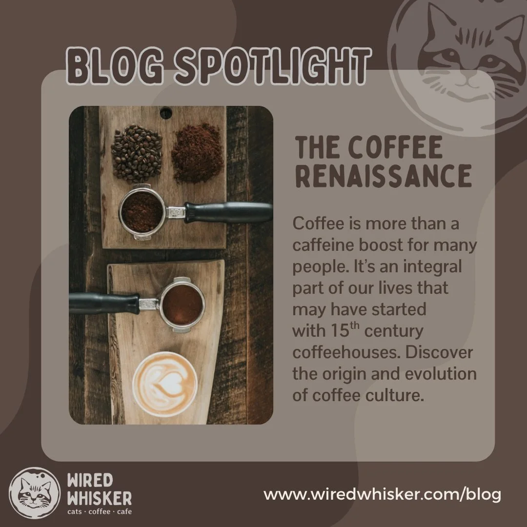 How has coffee woven itself into your life? Share your coffee experience (and how it started) in the comments below! Click this link for a short history lesson on coffee culture's origin to today's ever-so-popular latte: //www.wiredwhisker.com/blog/t