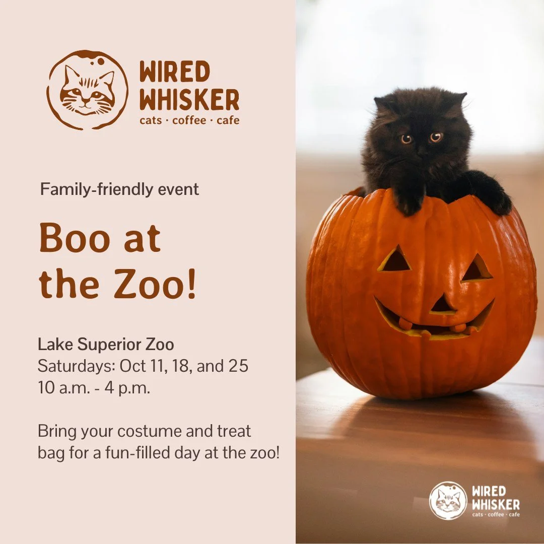 Starting at 10 a.m., our staff and volunteers will be hosting booths at Boo at the Zoo and Subaru Loves Pets, all here in Duluth! Do you have some free time today that could be booked with fun-filled, family-friendly activities? Stop by and support y