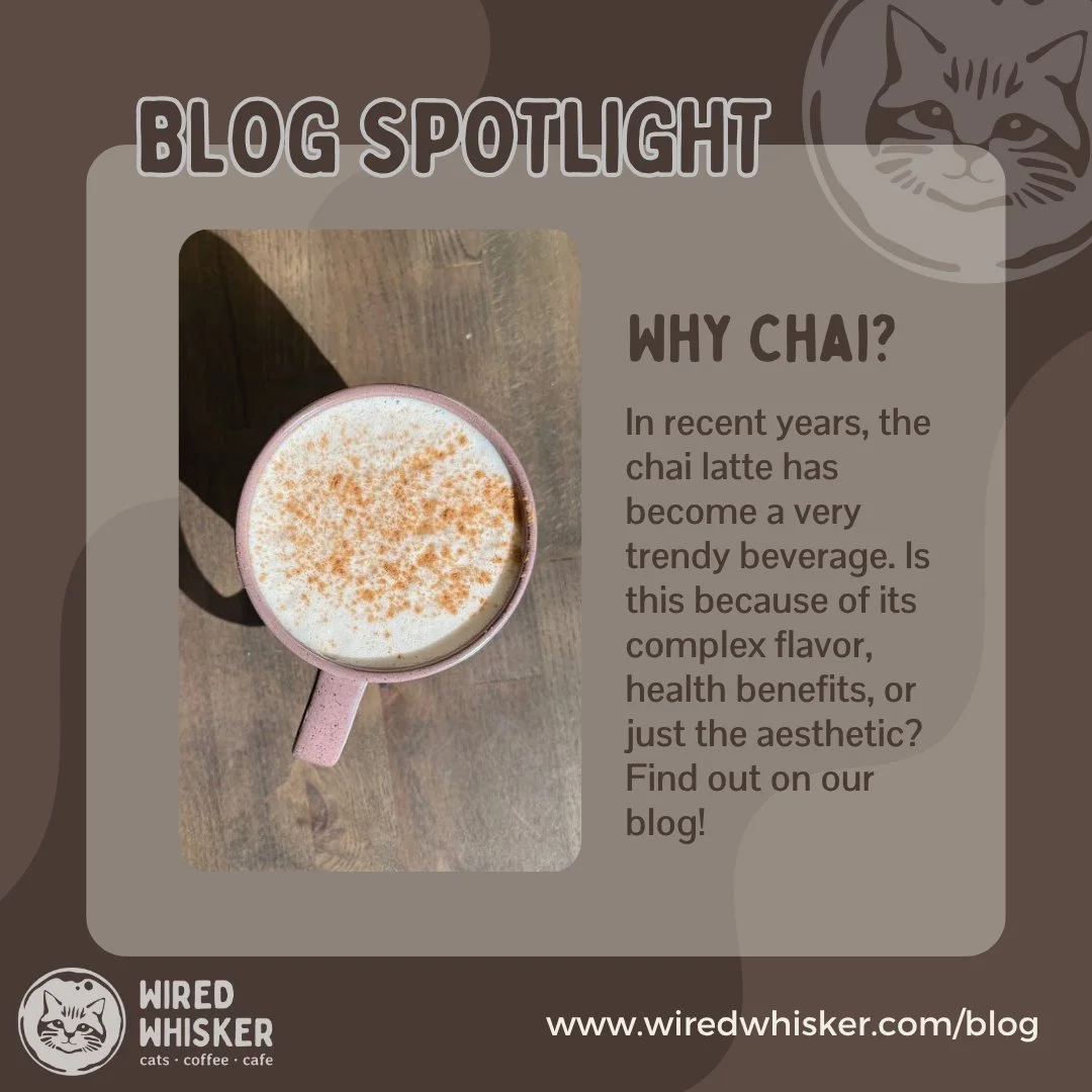 At our cafe, we serve Rishi's chai mix, which is more spice-heavy than some other brands. Do you prefer your chai latte to be sweet or spicy (or with your favorite flavor shot)? Answer in the comments below! 

Learn more about chai and its popularity