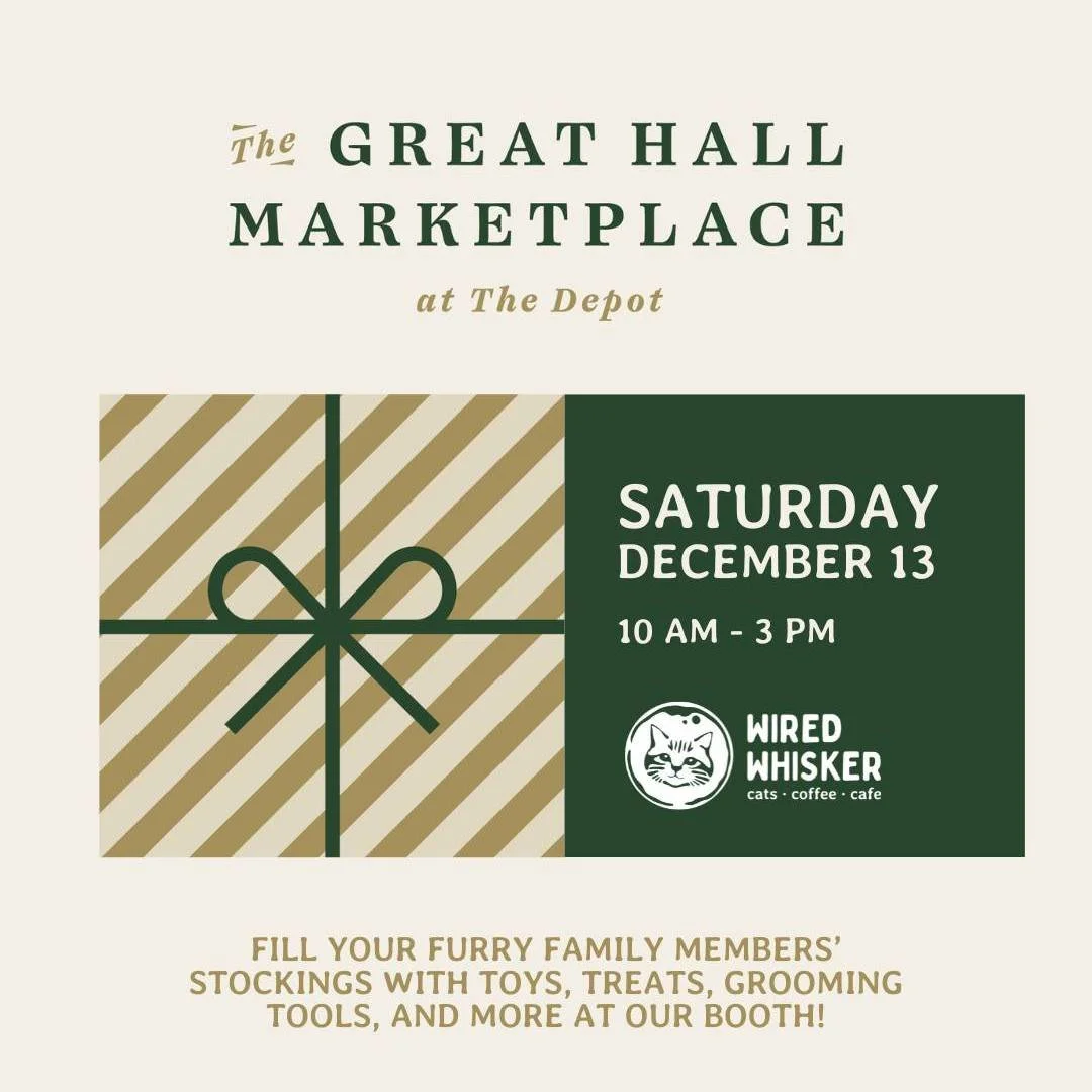 Two more days until The Great Hall Marketplace... mark your calendars! 

What: The Great Hall Marketplace
Where: The St. Louis County Depot
When: Saturday, December 13, 10 a.m. - 3 p.m. 

Stop by our booth for lots of cat-themed gifts (plus gifts for