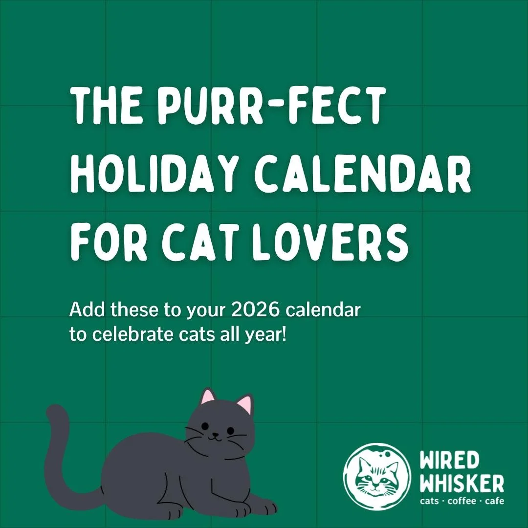 Spend 2026 celebrating all of the cat holidays with us! 

Our favorites would have to be all of the &ldquo;Hug Your Cat Day&rdquo;s. They're a great reminder for us cat parents! We especially love that it pops up three times, but let&rsquo;s be hones