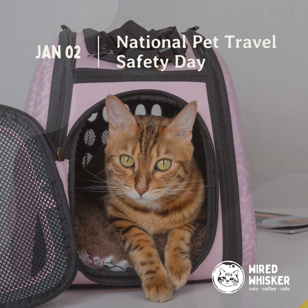 🐾🚗 Buckle up, furry friends &ndash; it's National Pet Travel Safety Day! Whether your adventures are by land, air, or sea, ensuring our pets are secure and comfortable is the key to a paw-some journey. 🌟
Remember to use crash-tested crates, pet se