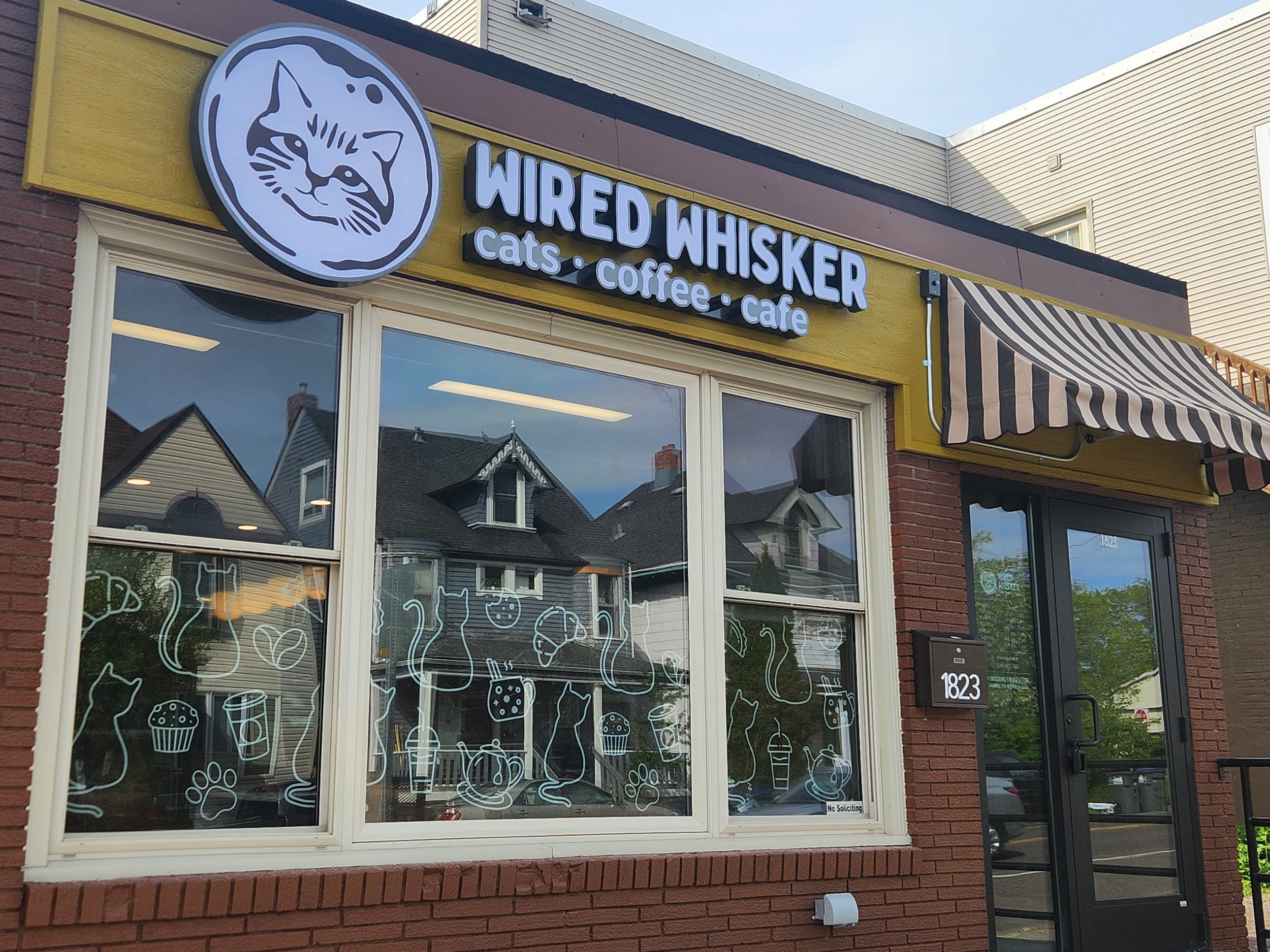 Wired Whisker 2-Year Birthday Celebration