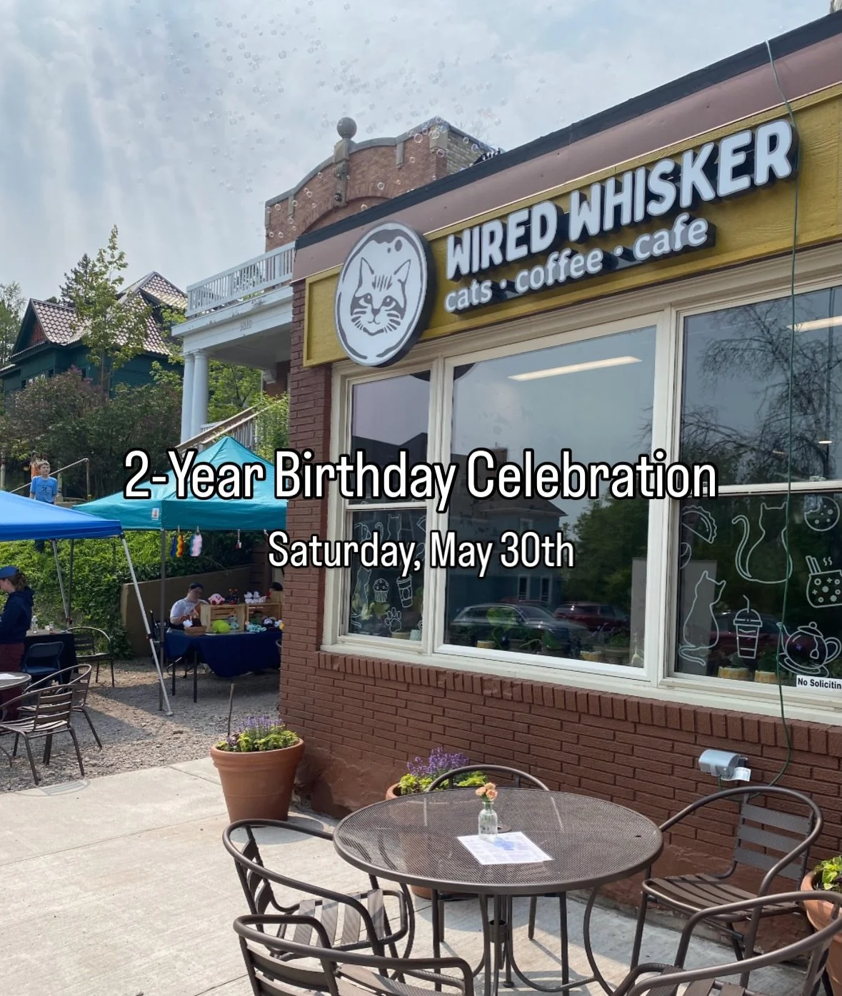 Save the Date for Saturday, May 30th 🎉🎂

Join us in celebration, and enjoy these throwback photos of our paw-some 1-year birthday until then! Wired Whisker is turning two, and we are excited to celebrate with our incredible cat-mmunity. You can exp