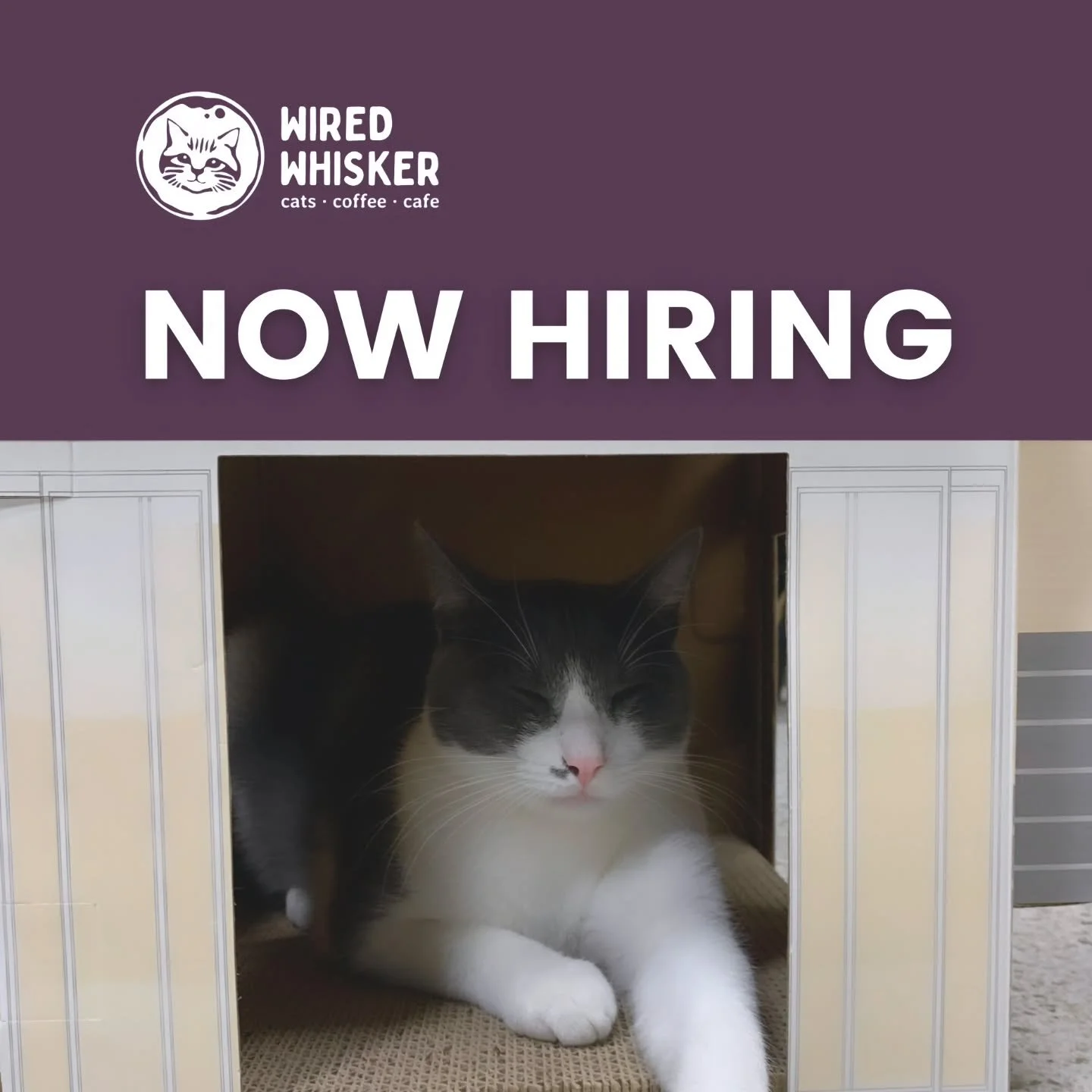 If Bossa Nova music, hard work, and small business energy are your vibe, consider joining our clouder of Barista &amp; Cat Caretakers. We are currently hiring part-time positions, starting in April/May. Apply ➡️ indeed.com/job/part-time-barista-and-c