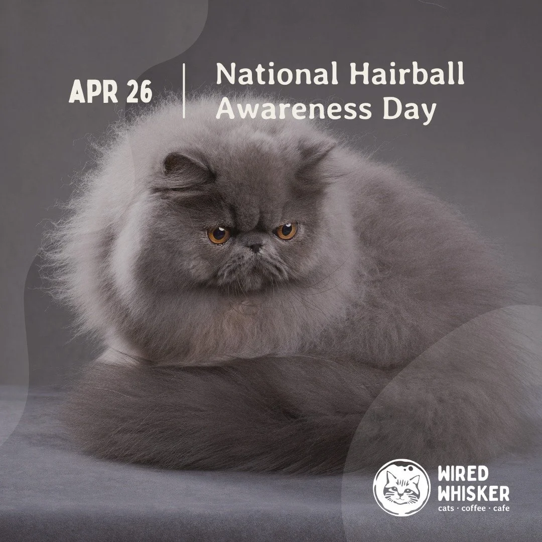 Today is National Hairball Awareness Day, fur-real! While hairballs are often just a normal part of our feline friends' grooming routines, they're also a hairy reminder for us pet parents about the importance of regular brushing and proper nutrition.