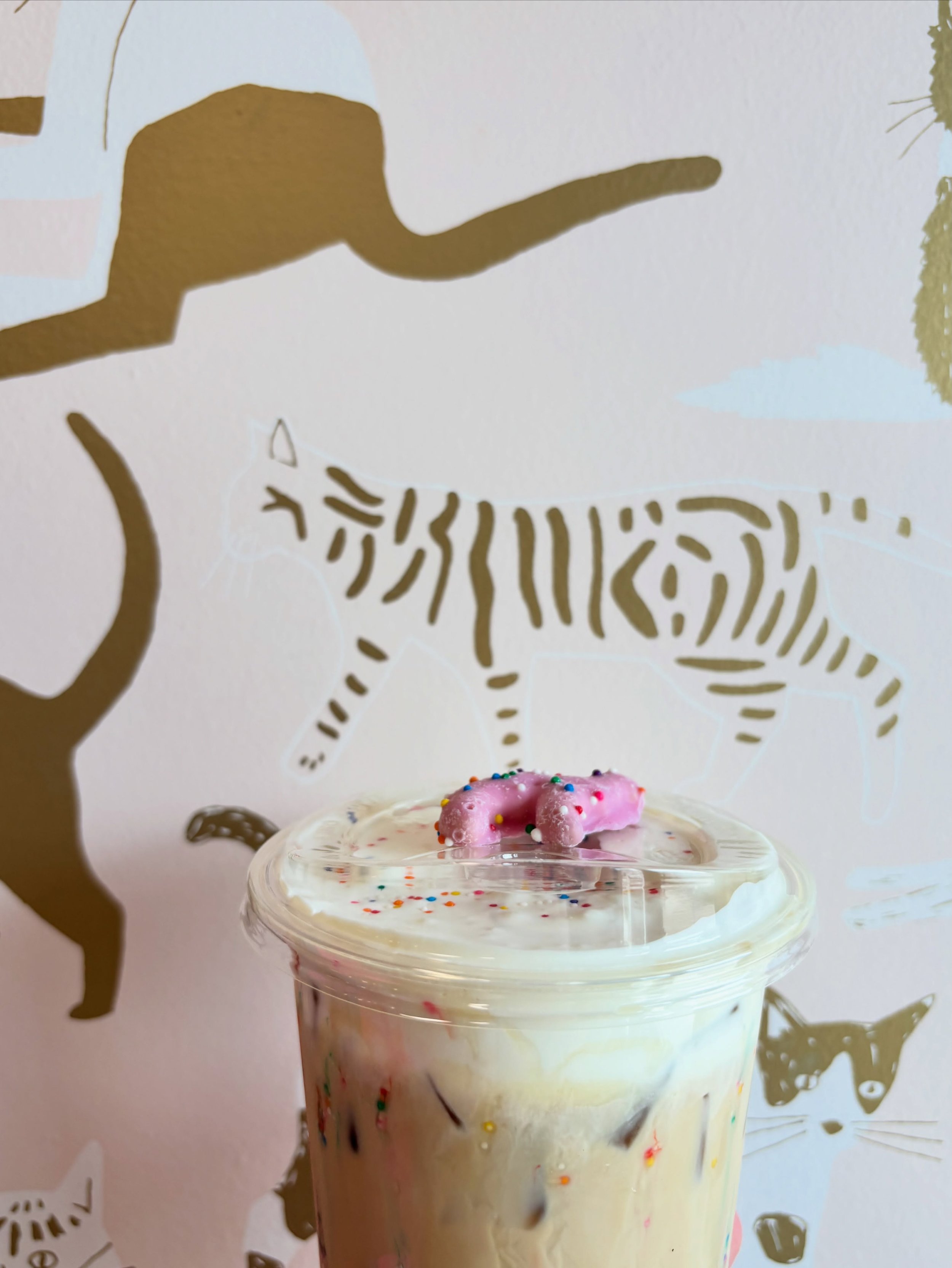 2026 SUMMER MENU 🌞✨ 

FROSTED CUPCAKE LATTE 
A vanilla cupcake latte topped with toasted marshmallow cold foam and a frosted animal cracker.

WATERMELON LEMONADE
A fresh, juicy watermelon flavor mixed into tart lemonade for an ultra-refreshing summe