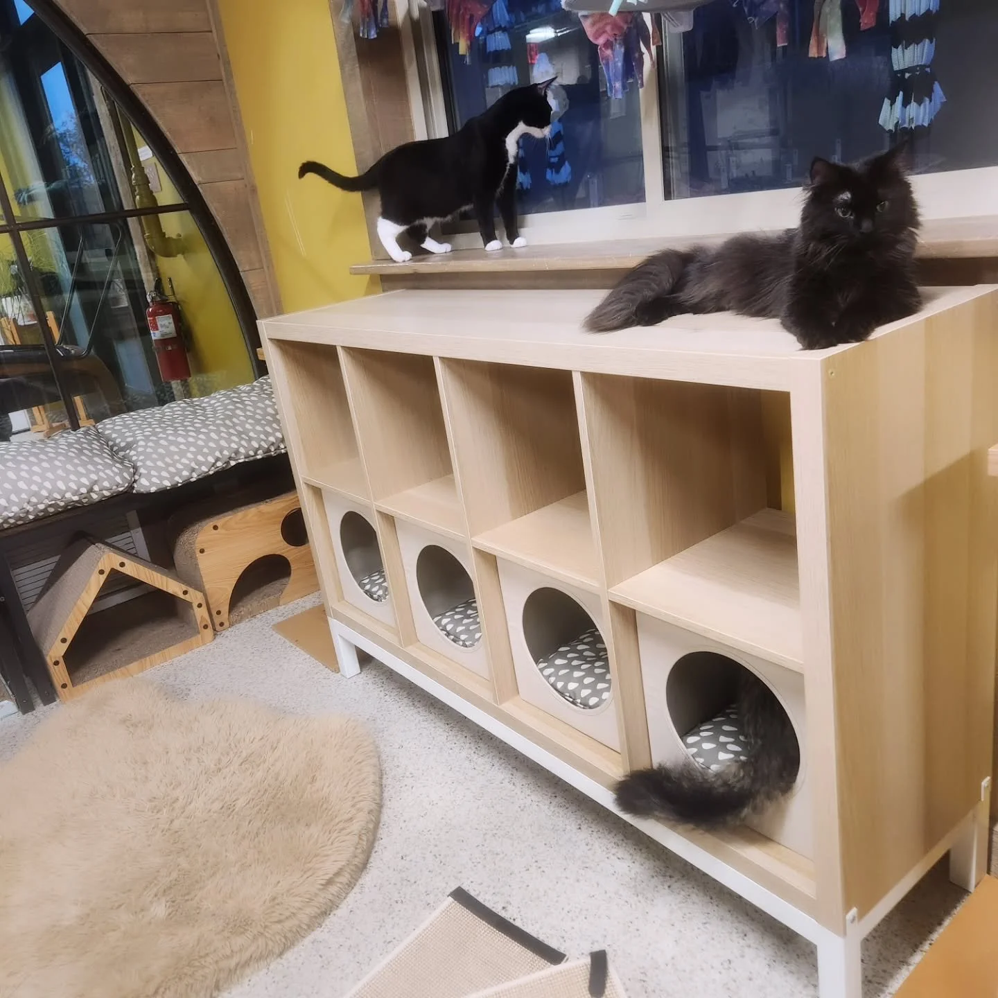 Our kitties LOVE looking out the window at birds, squirrels, and visitors on the patio, so it was time for a viewing ledge upgrade! They love the additional vertical space and cozy cubbies this one piece of furniture provides. 😍
@ikeausa #kallax #ik