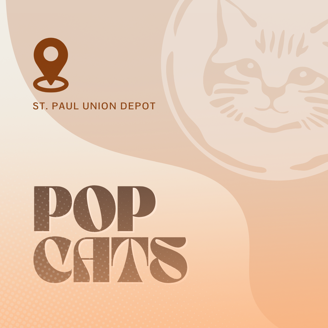 POP Cats Convention | See You There!