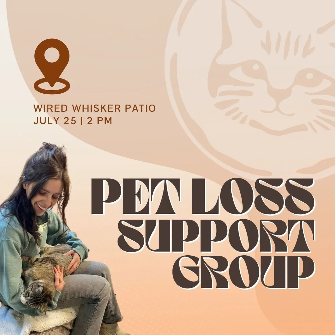 Pet Loss Grief Support Group