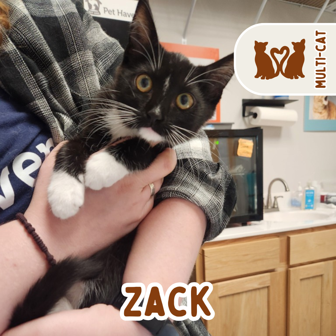 zack.png