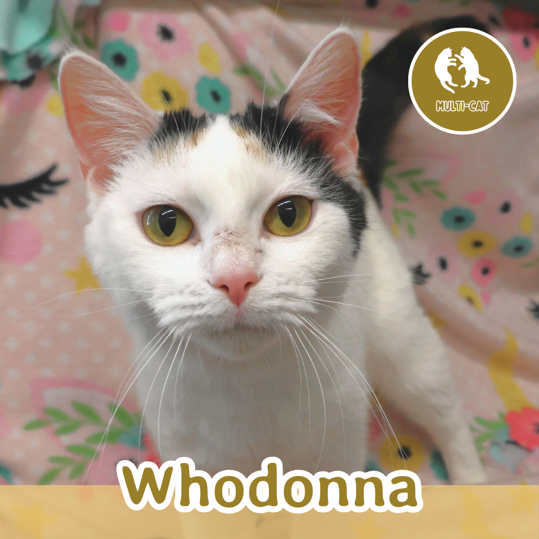 Whodonna.png