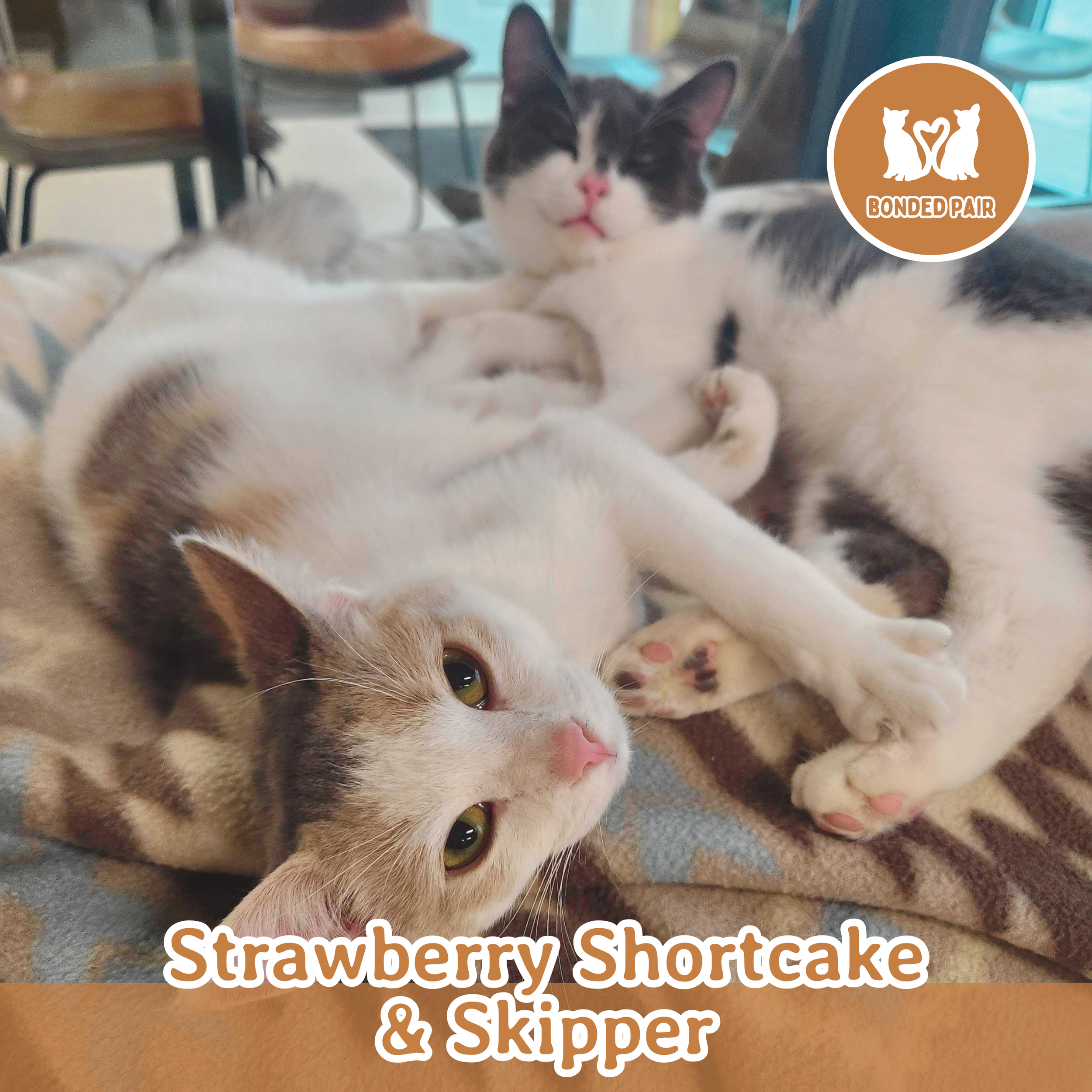 strawberry shortcake and skippe.png