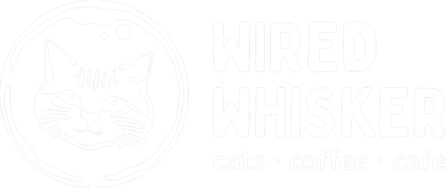 Wired Whisker | Cat Cafe