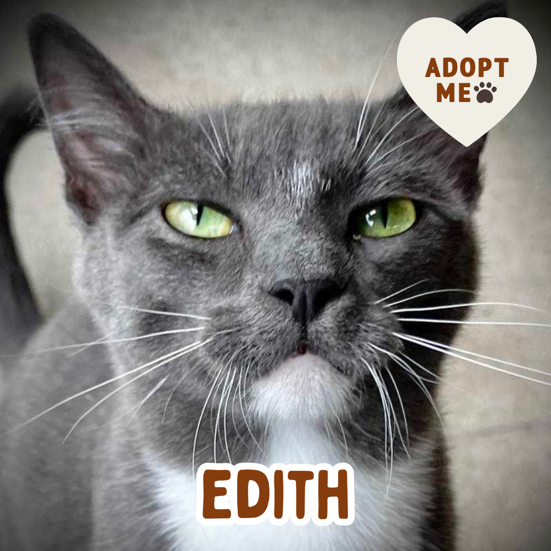 edith.png