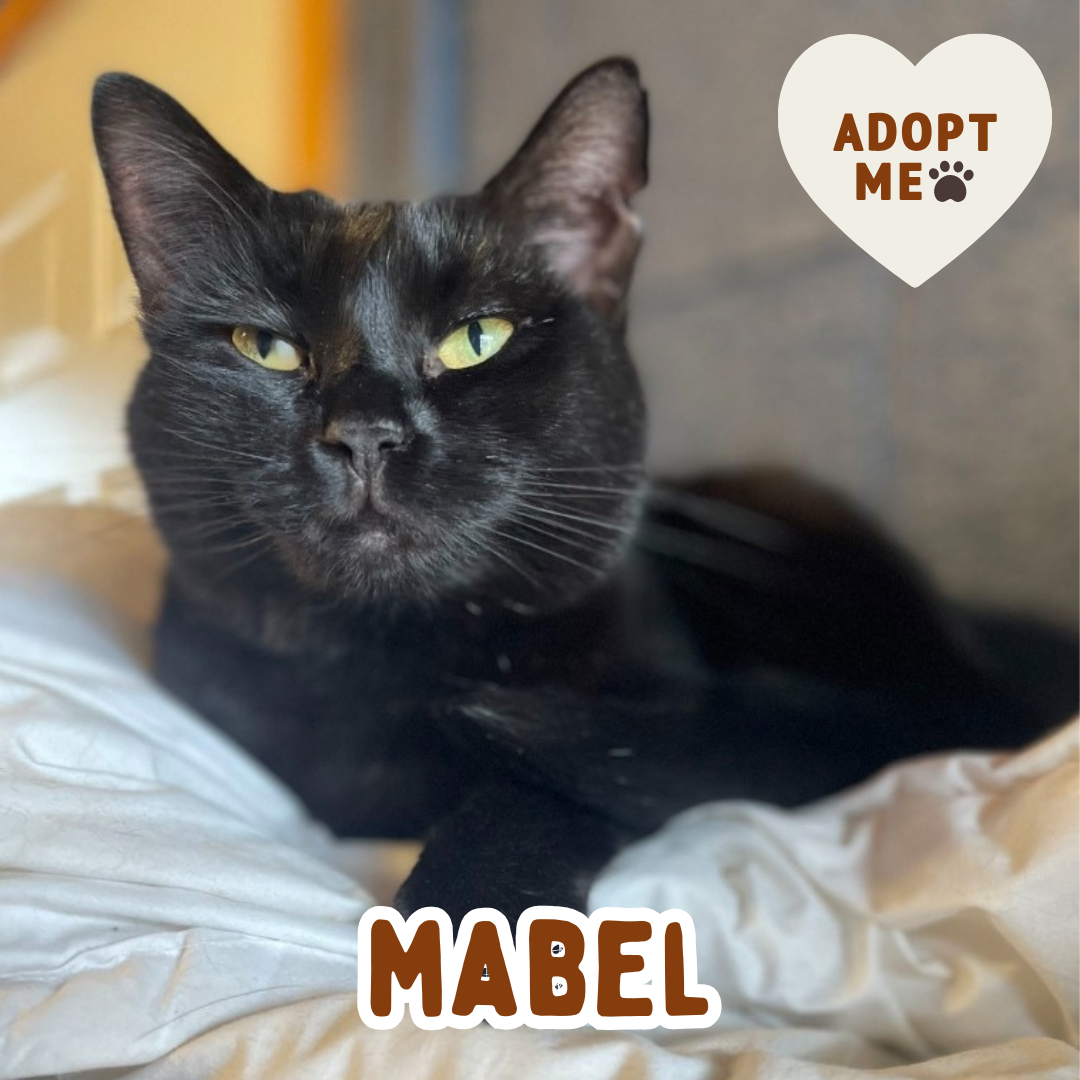 mable.png