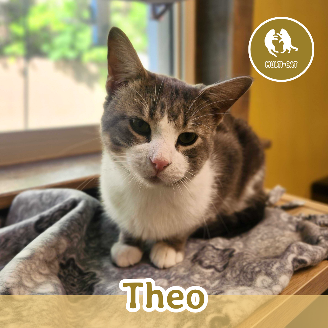 Theo (1).png