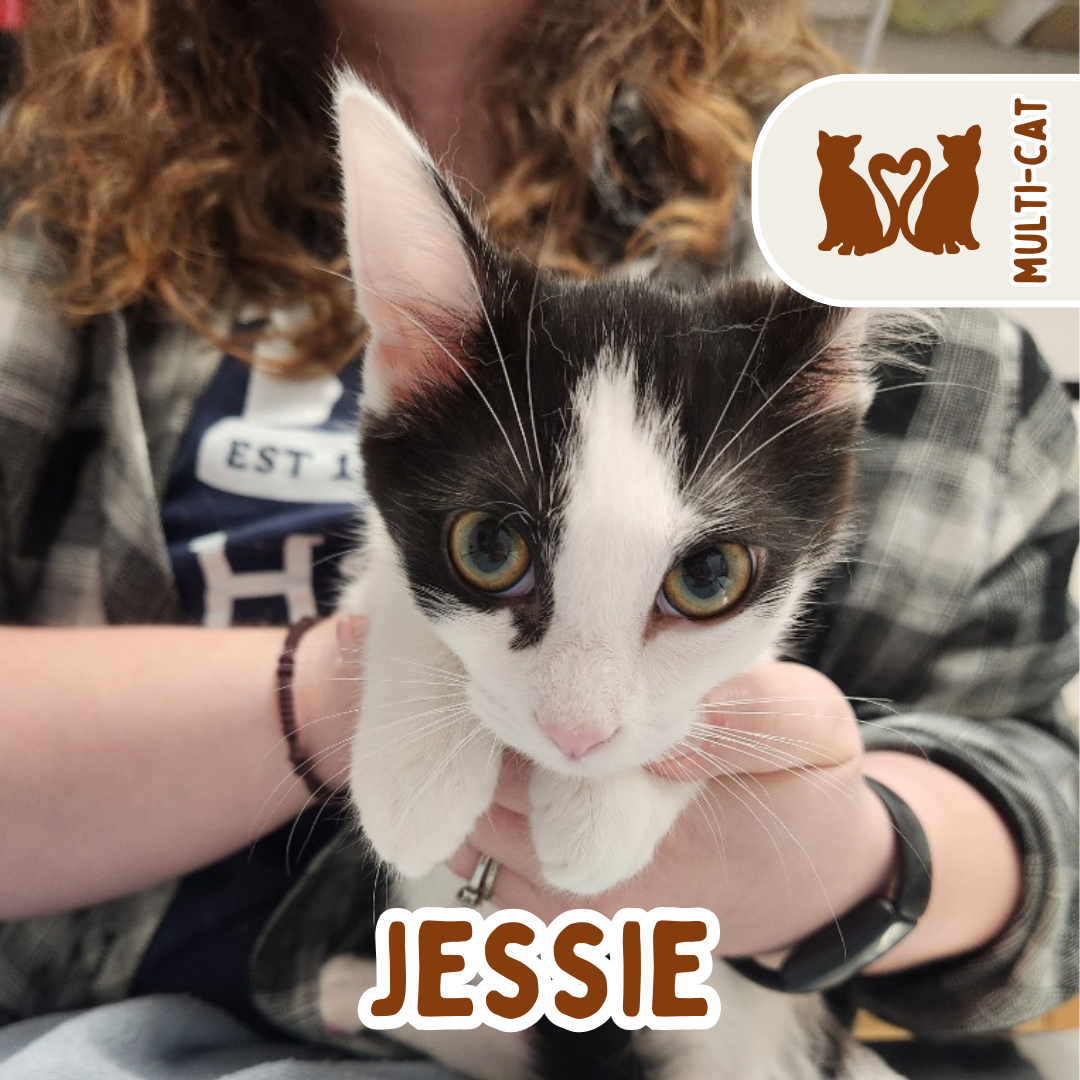 jessie.png
