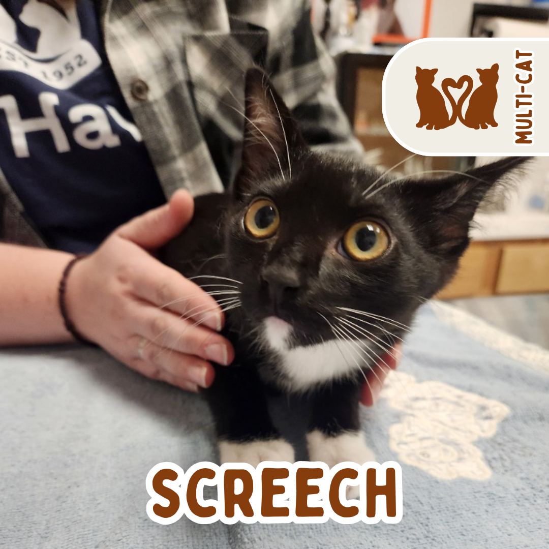 screech.png