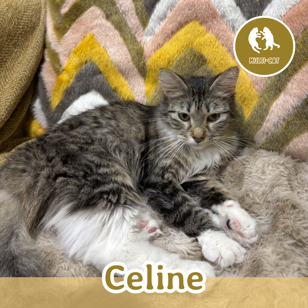 Celine.png