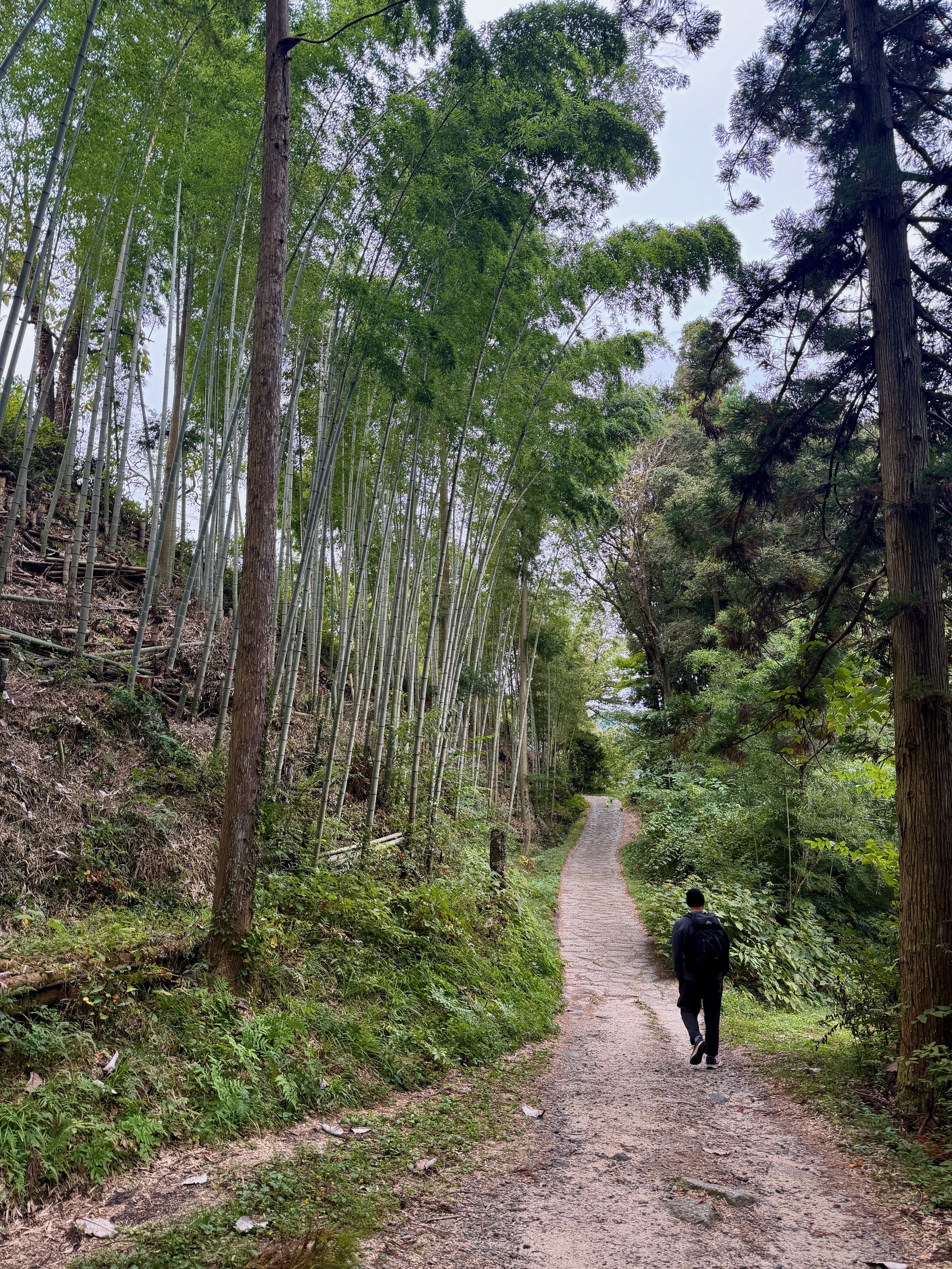 A point of view photo from a hike in Japan
