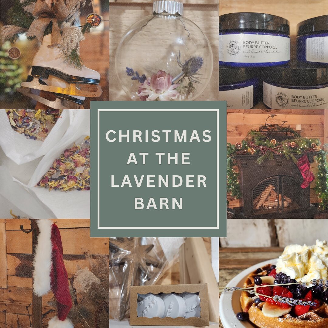 Come visit the farm shop this weekend and grab those stocking stuffers.The barn is decorated and there are lots of goodies to enjoy. Friday 12-7, Sat &amp; Sun 10-6